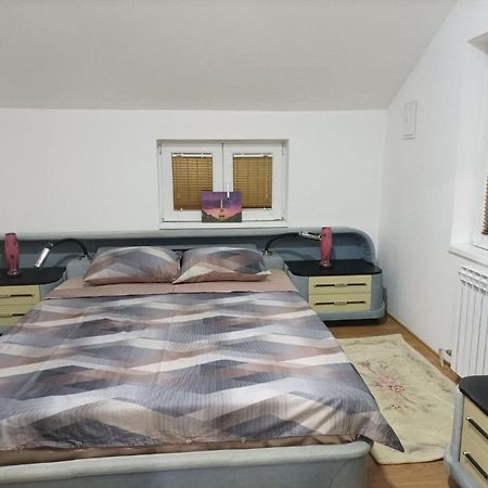 Apartmani Mladenovic Kijevo Kültér fotó