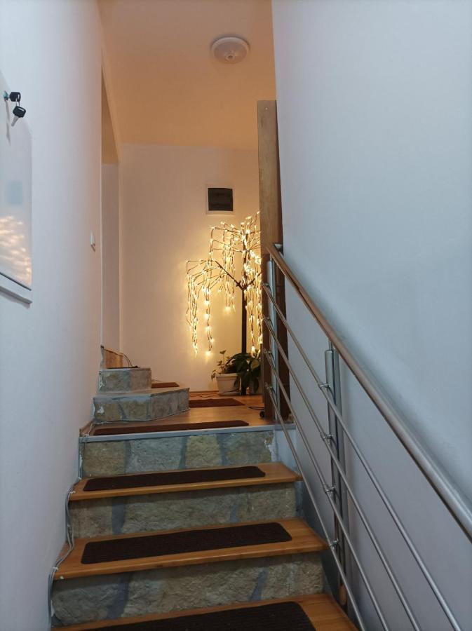 Apartmani Mladenovic Kijevo Kültér fotó